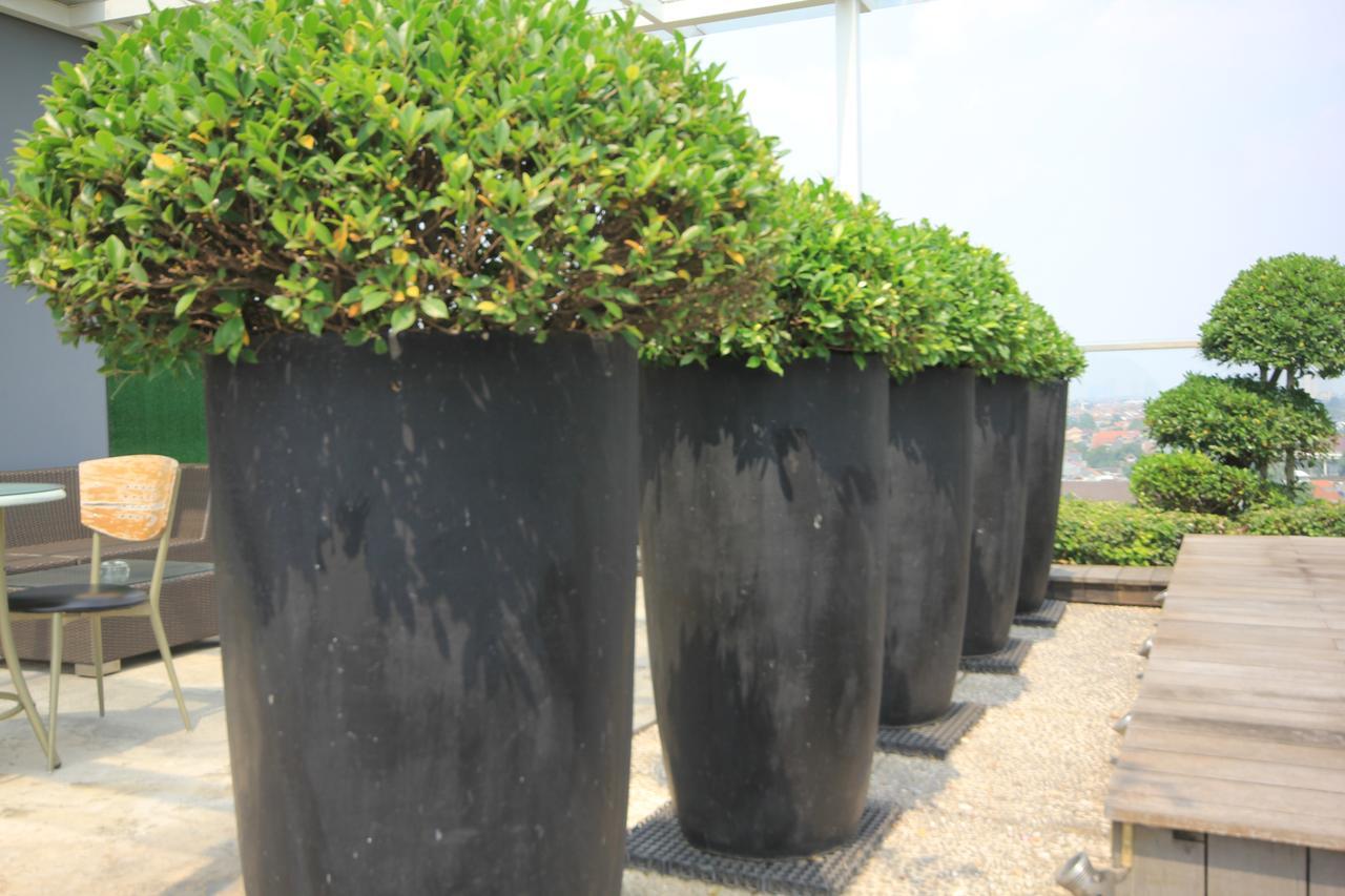 Harvia Kebon Jeruk