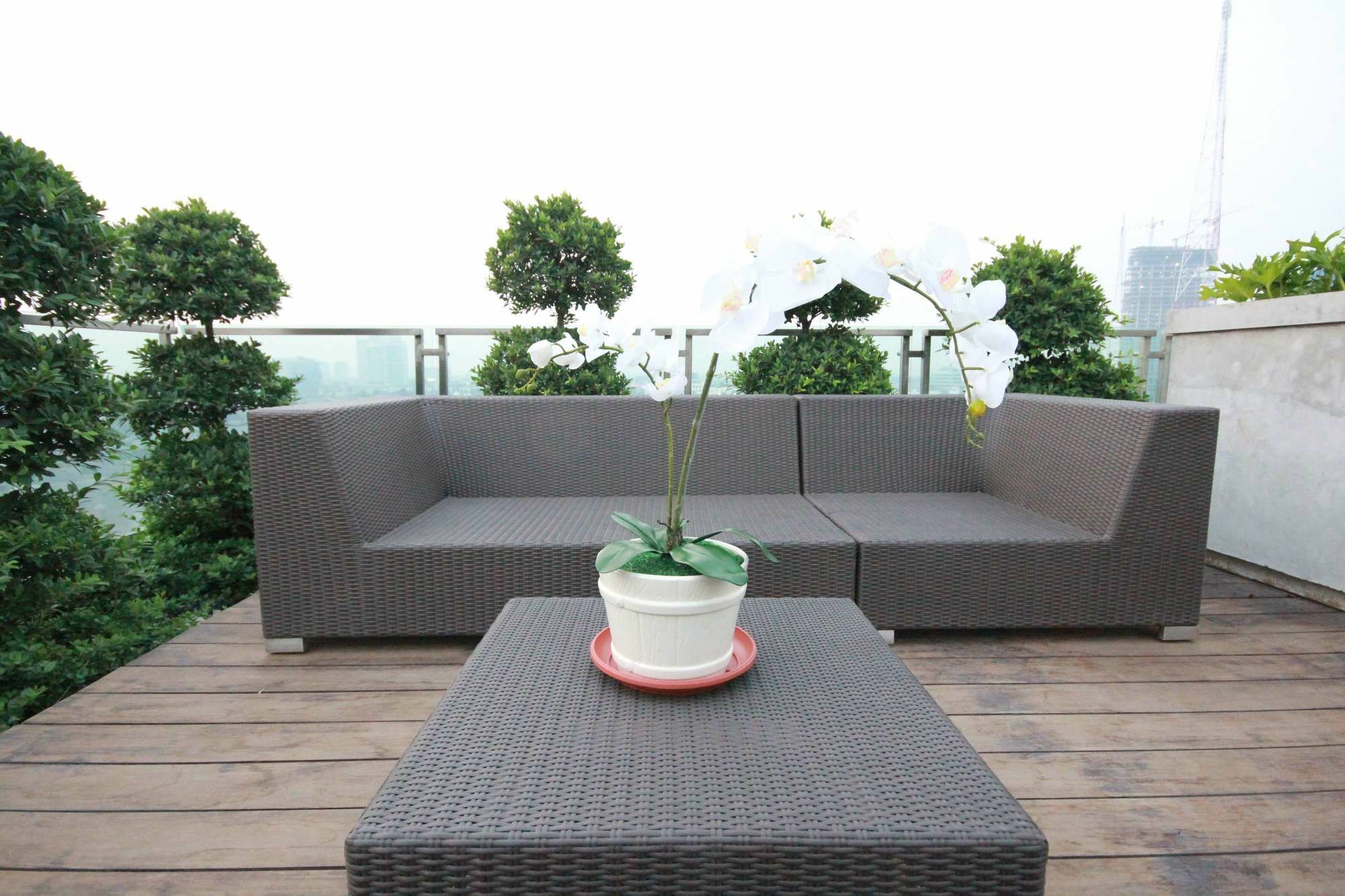 Harvia Kebon Jeruk